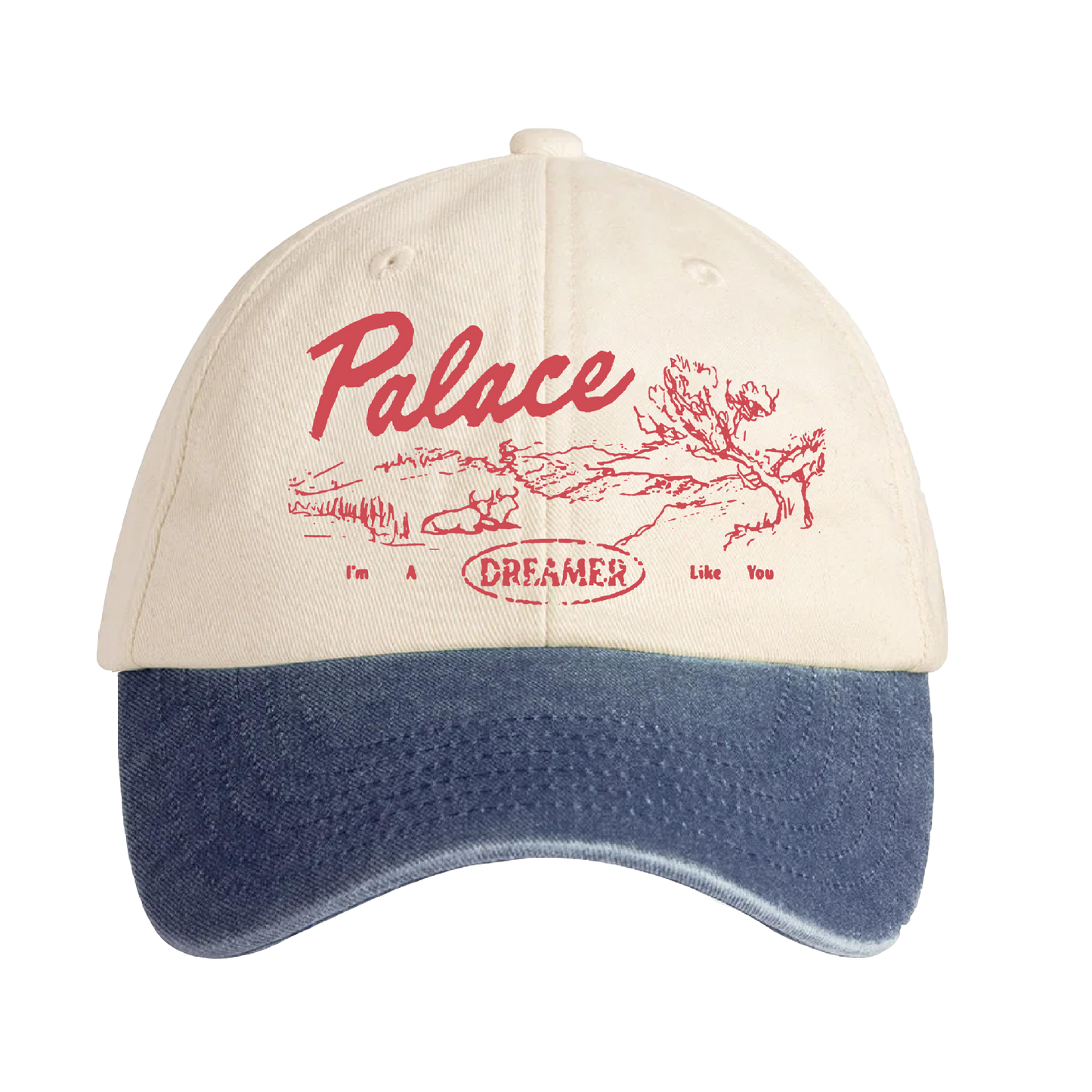 Dreamer Cap