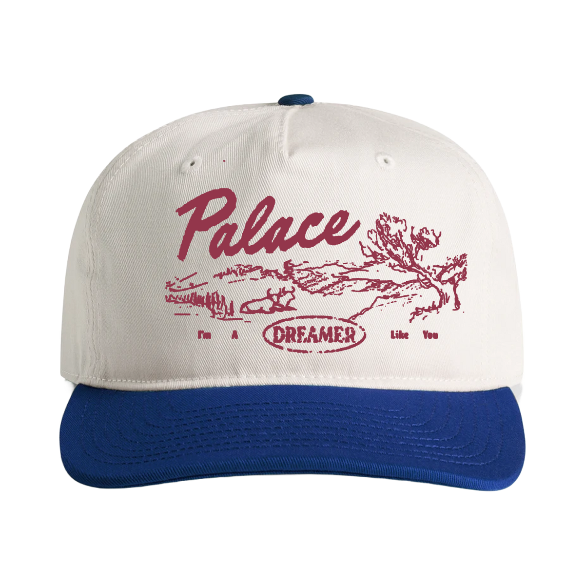 Dreamer Cap