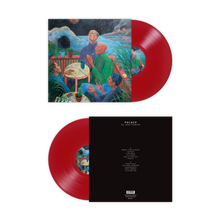 Load image into Gallery viewer, So Long Forever (Vinyl LP)
